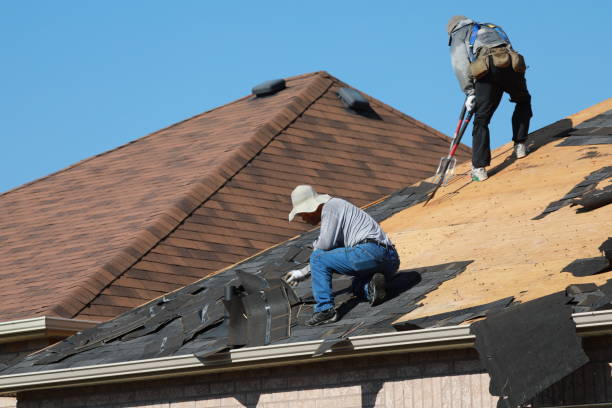 Best Roof Moss and Algae Removal  in Fountain Hills, AZ
